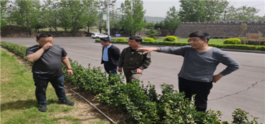 太義掌煤業(yè)開展地面綜合大檢查