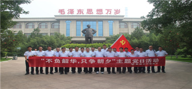 聯(lián)盛公司黨總支積極組織開展“不負(fù)韶華、只爭(zhēng)朝夕”迎“七一”主題紅色教育活動(dòng)